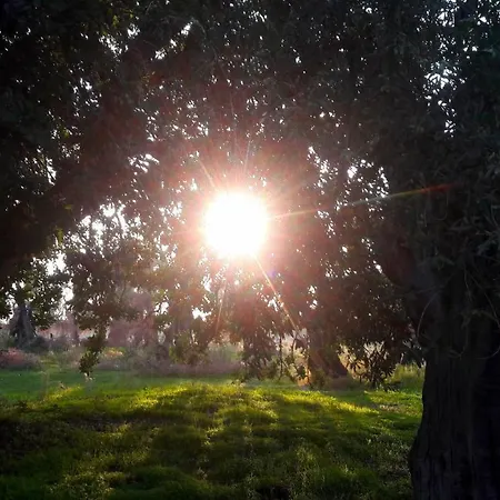 Posta Santa Croce Alloggio per agriturismo Bisceglie