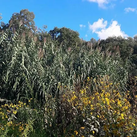 Alloggio per agriturismo Posta Santa Croce Bisceglie