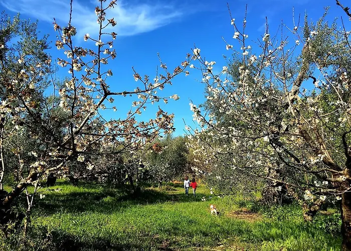 Posta Santa Croce Agroturismo *