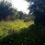 Posta Santa Croce * Bisceglie