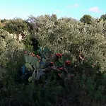 Posta Santa Croce Feriegård *