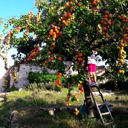 Posta Santa Croce مزرعة للإقامة