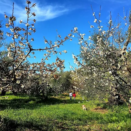 Posta Santa Croce Vakantieboerderij *