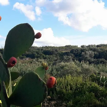 مزرعة للإقامة Posta Santa Croce بيشيلي