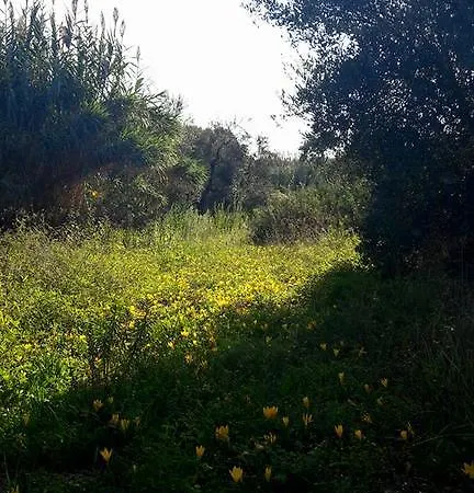 Posta Santa Croce * Bisceglie