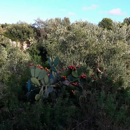 Posta Santa Croce مزرعة للإقامة *