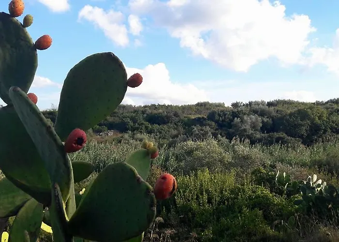 Çiftlik konaklama Posta Santa Croce Bisceglie