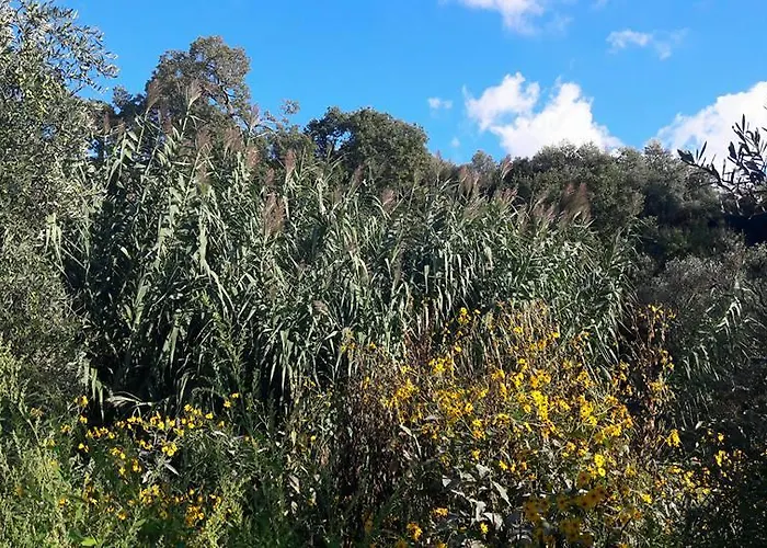 Çiftlik konaklama Posta Santa Croce Bisceglie