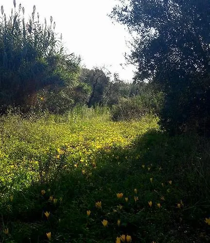 Posta Santa Croce * Bisceglie