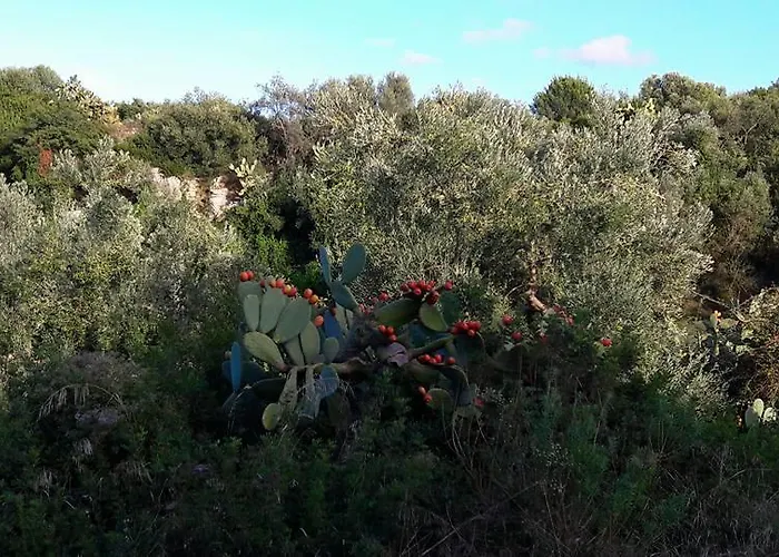 Posta Santa Croce Çiftlik konaklama *